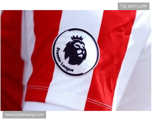 英超各球队球衣袖子广告赞助商及合作案例